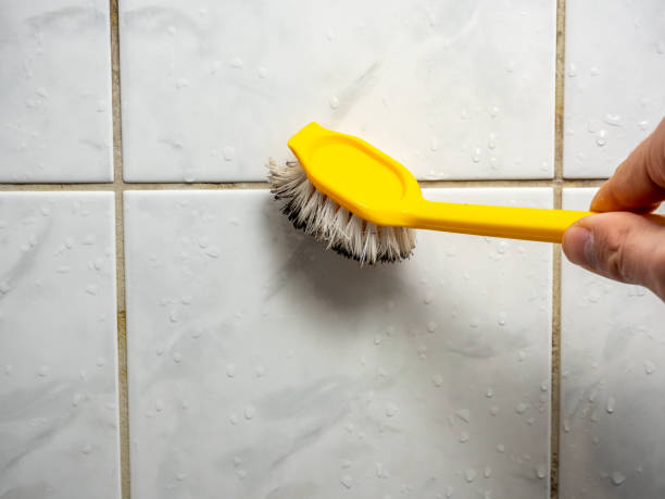 Trusted Leominster, MA Mold Removal Experts