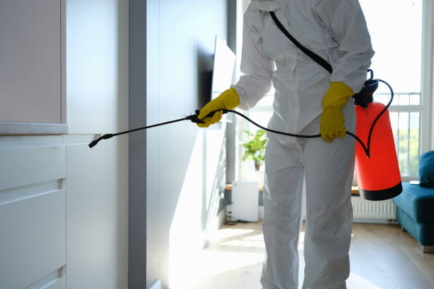 Best Mold Removal Near Me  in Leominster, MA
