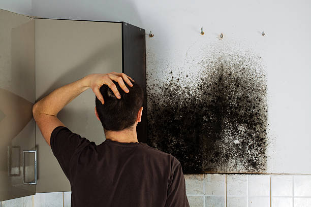 Best Mold Testing  in Leominster, MA